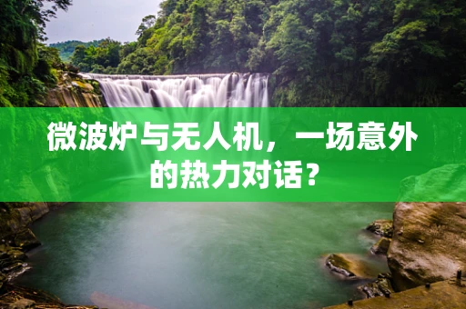 微波炉与无人机，一场意外的热力对话？