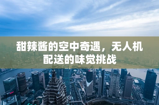 甜辣酱的空中奇遇，无人机配送的味觉挑战