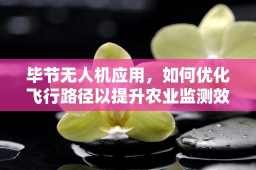 毕节无人机应用，如何优化飞行路径以提升农业监测效率？