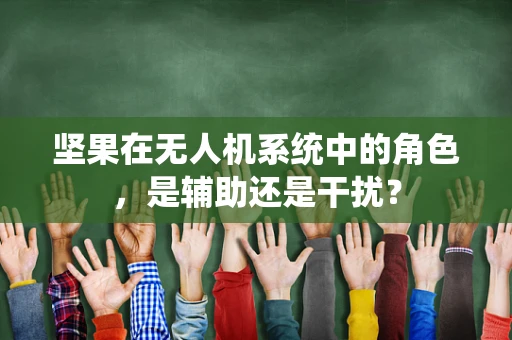 坚果在无人机系统中的角色，是辅助还是干扰？