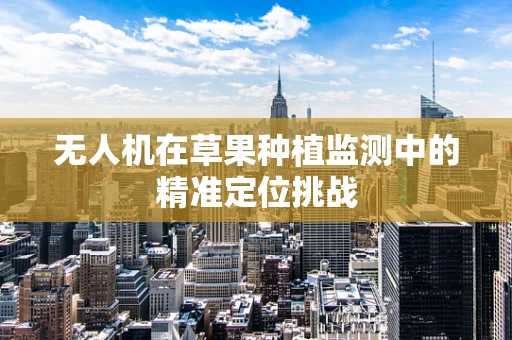 无人机在草果种植监测中的精准定位挑战