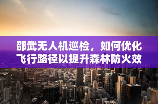 邵武无人机巡检，如何优化飞行路径以提升森林防火效率？