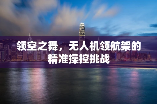 领空之舞，无人机领航架的精准操控挑战