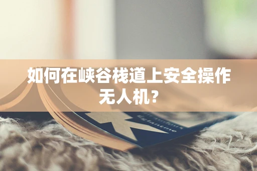 如何在峡谷栈道上安全操作无人机？