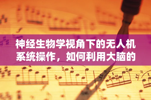 神经生物学视角下的无人机系统操作，如何利用大脑的导航系统优化飞行决策？