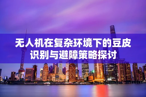 无人机在复杂环境下的豆皮识别与避障策略探讨