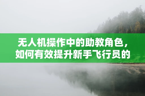 无人机操作中的助教角色，如何有效提升新手飞行员的安全意识？