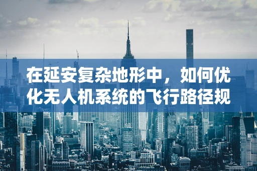 在延安复杂地形中，如何优化无人机系统的飞行路径规划？