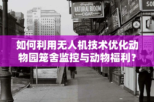 如何利用无人机技术优化动物园笼舍监控与动物福利？