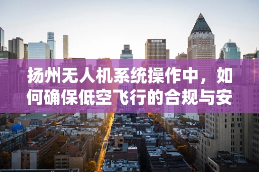 扬州无人机系统操作中，如何确保低空飞行的合规与安全？