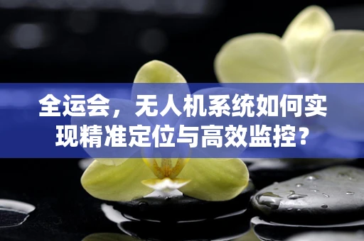 全运会，无人机系统如何实现精准定位与高效监控？