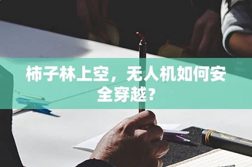 柿子林上空，无人机如何安全穿越？