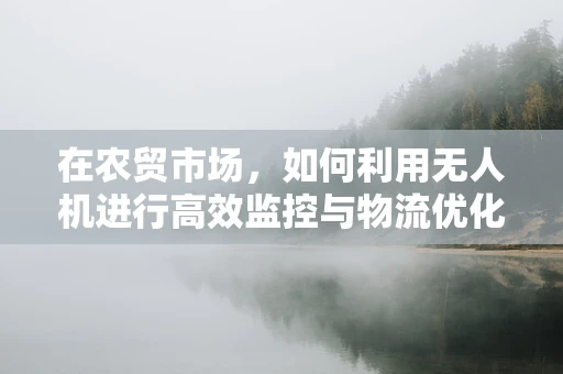 在农贸市场，如何利用无人机进行高效监控与物流优化？