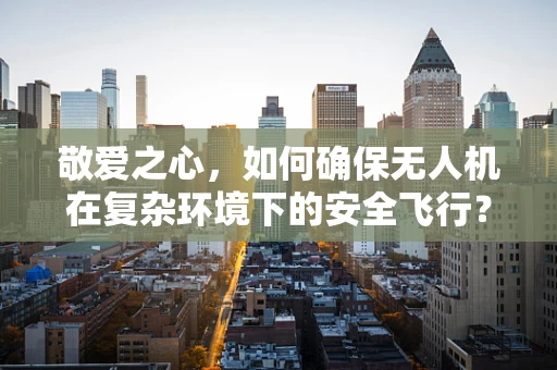 敬爱之心，如何确保无人机在复杂环境下的安全飞行？