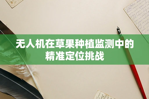 无人机在草果种植监测中的精准定位挑战
