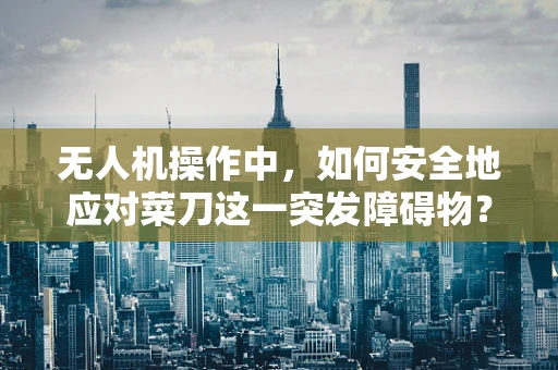 无人机操作中，如何安全地应对菜刀这一突发障碍物？