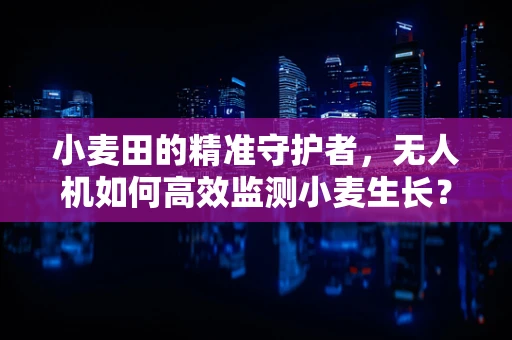 小麦田的精准守护者，无人机如何高效监测小麦生长？