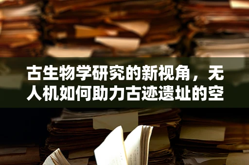 古生物学研究的新视角，无人机如何助力古迹遗址的空中勘探？