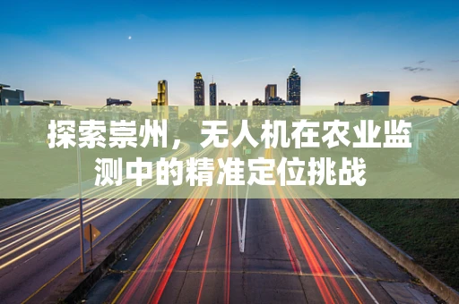 探索崇州，无人机在农业监测中的精准定位挑战