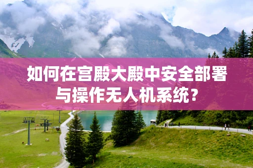 如何在宫殿大殿中安全部署与操作无人机系统？