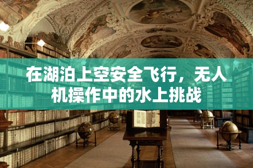 在湖泊上空安全飞行，无人机操作中的水上挑战