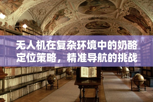 无人机在复杂环境中的奶酪定位策略，精准导航的挑战与解决方案
