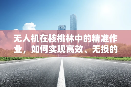 无人机在核桃林中的精准作业，如何实现高效、无损的果实监测？