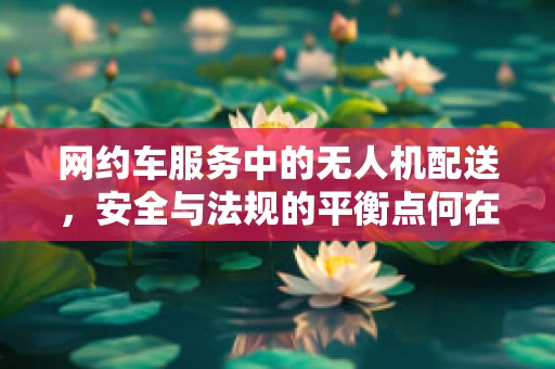 网约车服务中的无人机配送，安全与法规的平衡点何在？