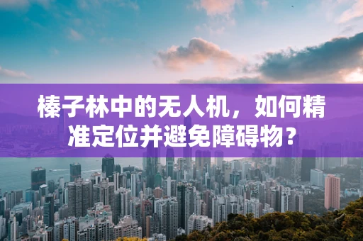 榛子林中的无人机，如何精准定位并避免障碍物？