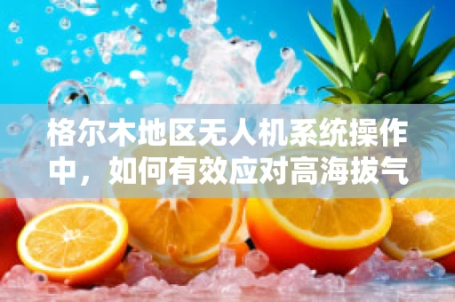格尔木地区无人机系统操作中，如何有效应对高海拔气候挑战？
