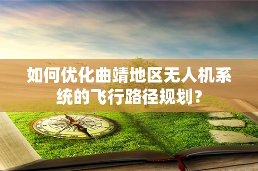 如何优化曲靖地区无人机系统的飞行路径规划？