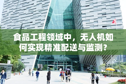 食品工程领域中，无人机如何实现精准配送与监测？
