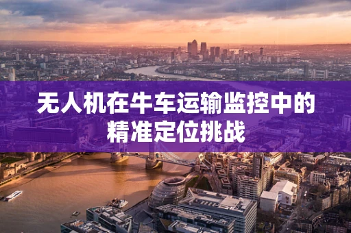 无人机在牛车运输监控中的精准定位挑战