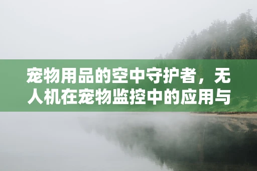 宠物用品的空中守护者，无人机在宠物监控中的应用与挑战