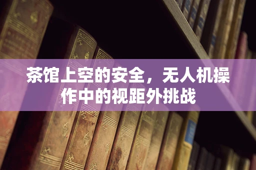 茶馆上空的安全，无人机操作中的视距外挑战