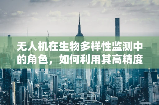 无人机在生物多样性监测中的角色，如何利用其高精度图像捕捉技术促进生态研究？