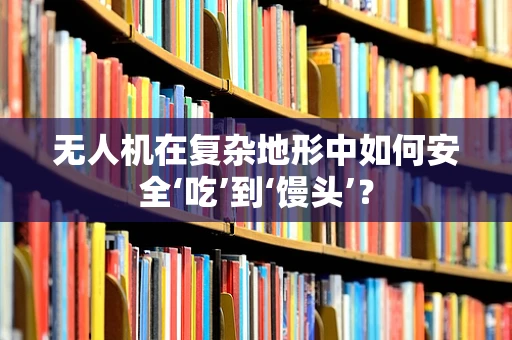无人机在复杂地形中如何安全‘吃’到‘馒头’？