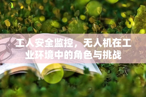 工人安全监控，无人机在工业环境中的角色与挑战