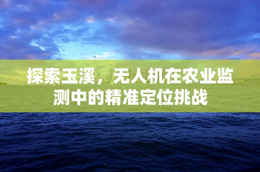 探索玉溪，无人机在农业监测中的精准定位挑战