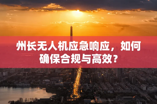 州长无人机应急响应，如何确保合规与高效？
