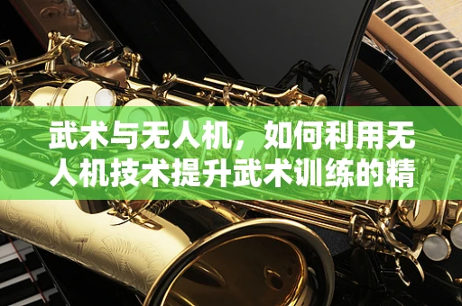 武术与无人机，如何利用无人机技术提升武术训练的精准与效率？
