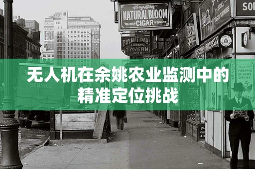 无人机在余姚农业监测中的精准定位挑战