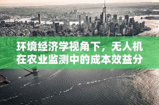环境经济学视角下，无人机在农业监测中的成本效益分析