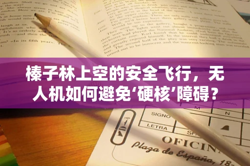 榛子林上空的安全飞行，无人机如何避免‘硬核’障碍？