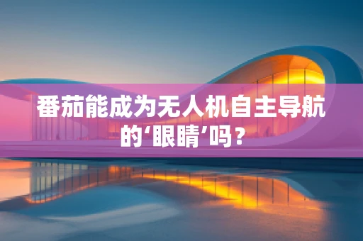 番茄能成为无人机自主导航的‘眼睛’吗？