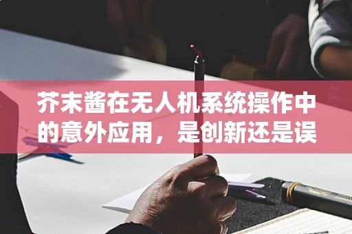 芥末酱在无人机系统操作中的意外应用，是创新还是误用？