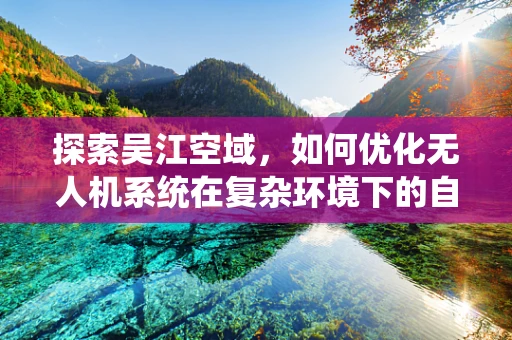 探索吴江空域，如何优化无人机系统在复杂环境下的自主导航与避障？