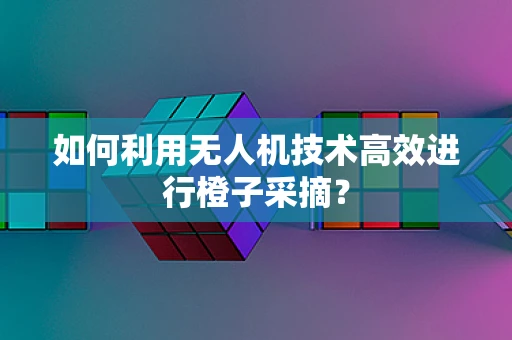 如何利用无人机技术高效进行橙子采摘？