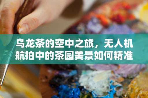 乌龙茶的空中之旅，无人机航拍中的茶园美景如何精准捕捉？