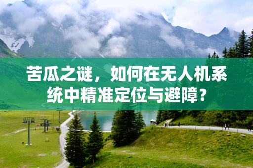 苦瓜之谜，如何在无人机系统中精准定位与避障？